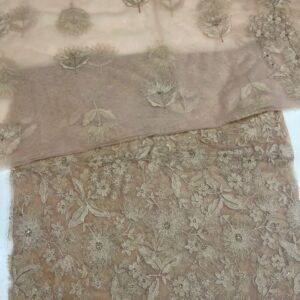 Bareeze Net Collection With Handwork Nag With Pure Pakistani Chiffon Duppata 2026 - 36