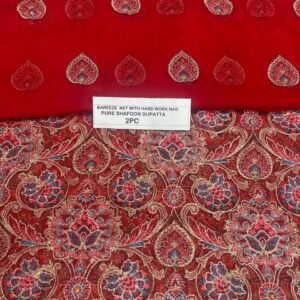 Bareeze Net Collection With Handwork Nag With Pure Pakistani Chiffon Duppata 2026 - 38