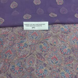 Bareeze Net Collection With Handwork Nag With Pure Pakistani Chiffon Duppata 2026 - 39