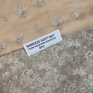 Bareeze Net Collection With Handwork Nag With Pure Pakistani  Chiffon Duppata 2026 - 47