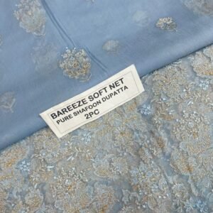Bareeze Net Collection With Handwork Nag With Pure Pakistani  Chiffon Duppata 2026 - 48