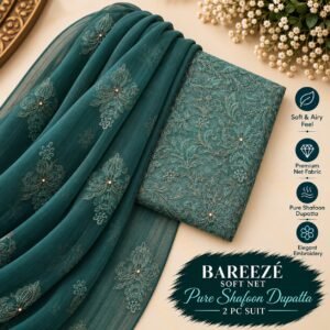 Bareeze Net Collection With Handwork Nag With Pure Pakistani  Chiffon Duppata 2026 - 57