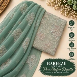 Bareeze Net Collection With Handwork Nag With Pure Pakistani  Chiffon Duppata 2026 - 59