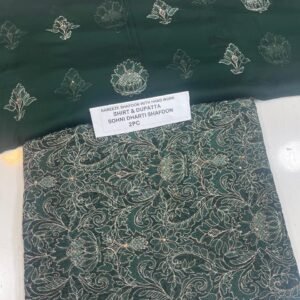 Pakistani Chiffon 2PC Mk – 579