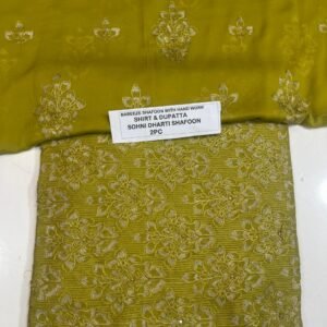 Pakistani Chiffon 2PC Mk – 580