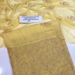 Pakistani Chiffon 2PC Mk – 581