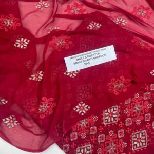 Pakistani Chiffon 2PC Mk – 582