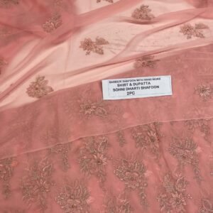 Pakistani Chiffon 2PC Mk – 583