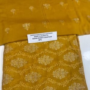 Pakistani Chiffon 2PC Mk – 584