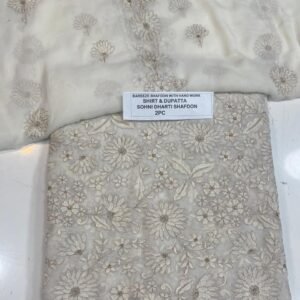 Pakistani Chiffon 2PC Mk – 585