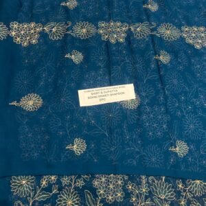 Pakistani Chiffon 2PC Mk – 588