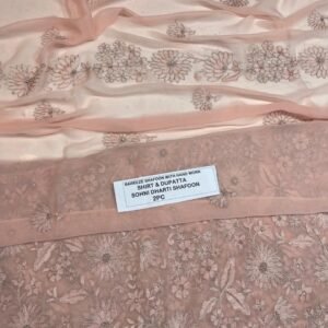 Pakistani Chiffon 2PC Mk – 589