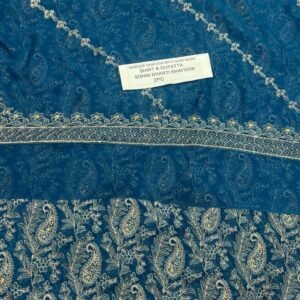 Pakistani Chiffon 2PC Mk – 591
