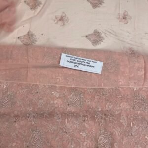Pakistani Chiffon 2PC Mk – 592