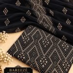 Pakistani Chiffon 2PC Mk – 602