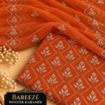 Pakistani Chiffon 2PC Mk – 606