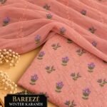 Pakistani Chiffon 2PC Mk – 607